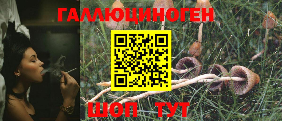 Дзержинский  Псилоцибиновые грибы Magic Shrooms  Вход с VPN  Галлюциногенные грибы мицелий 
