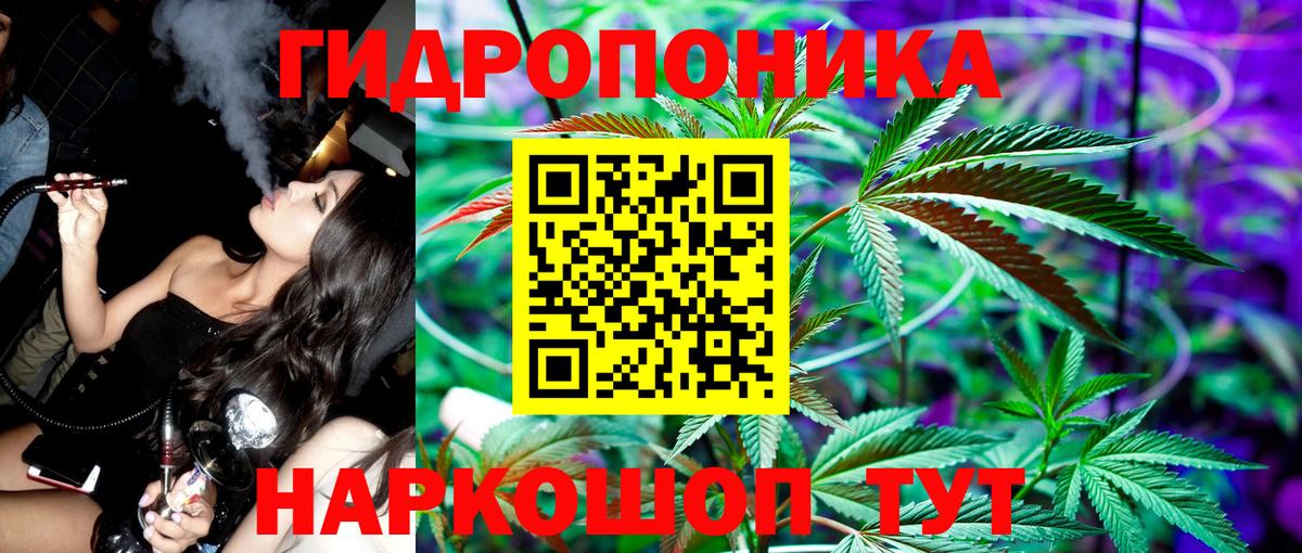 Дзержинский  Шишки марихуана тримм  Вход с VPN  Бошки Шишки AK-47  Конопля планчик 