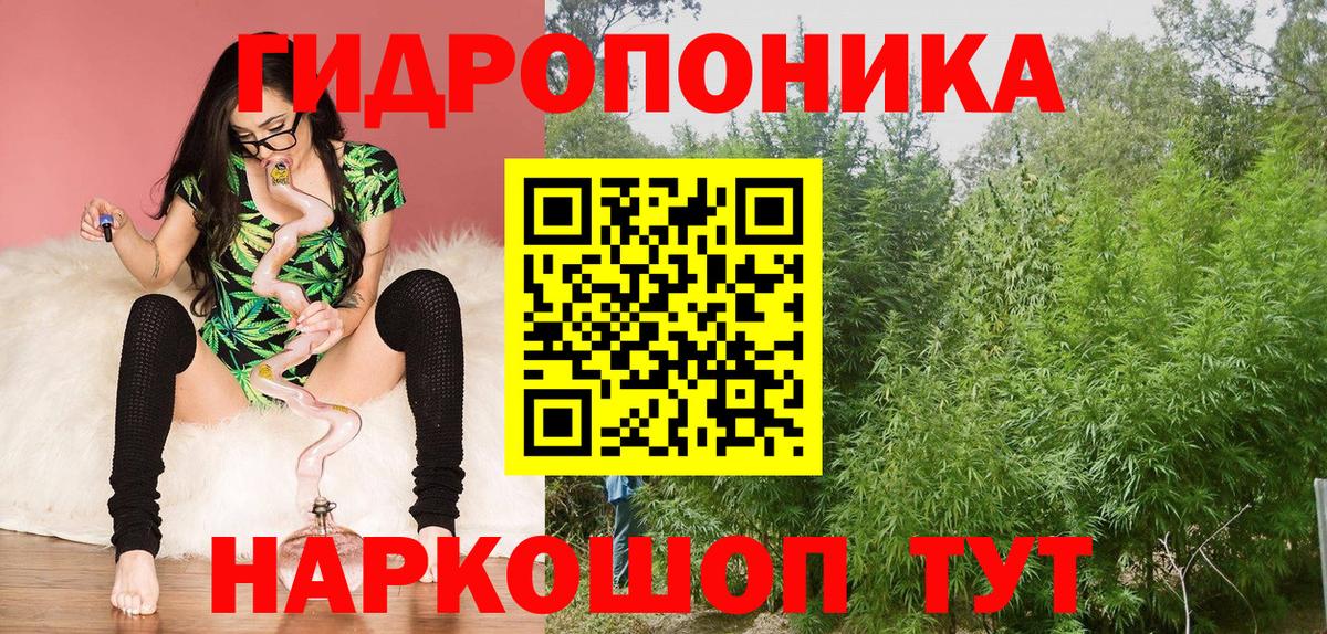 Конопля план Дзержинский